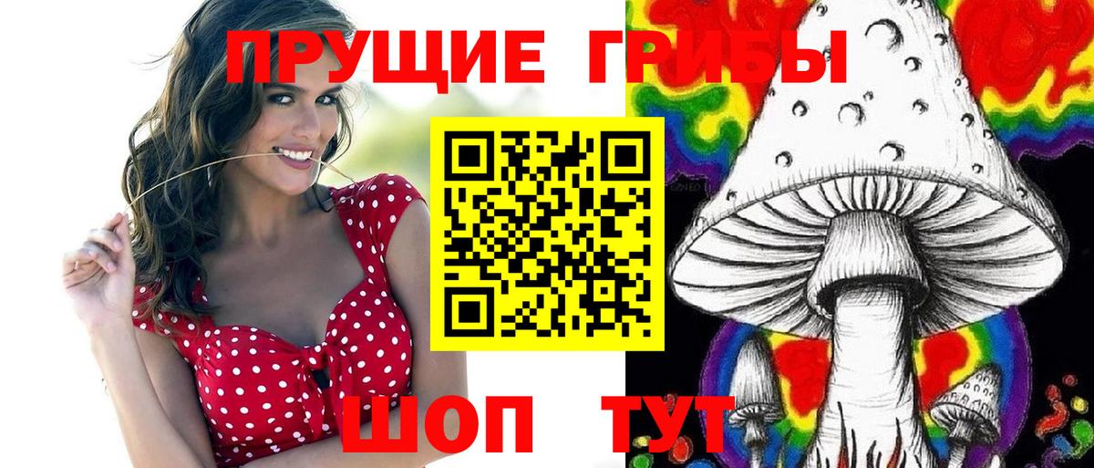 Псилоцибиновые грибы прущие грибы Сальск
