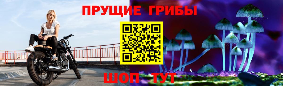 Сальск  Галлюциногенные грибы MAGIC MUSHROOMS  Псилоцибиновые грибы GOLDEN TEACHER  Вход с VPN 