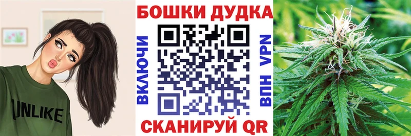 Каннабис OG Kush  Сальск 